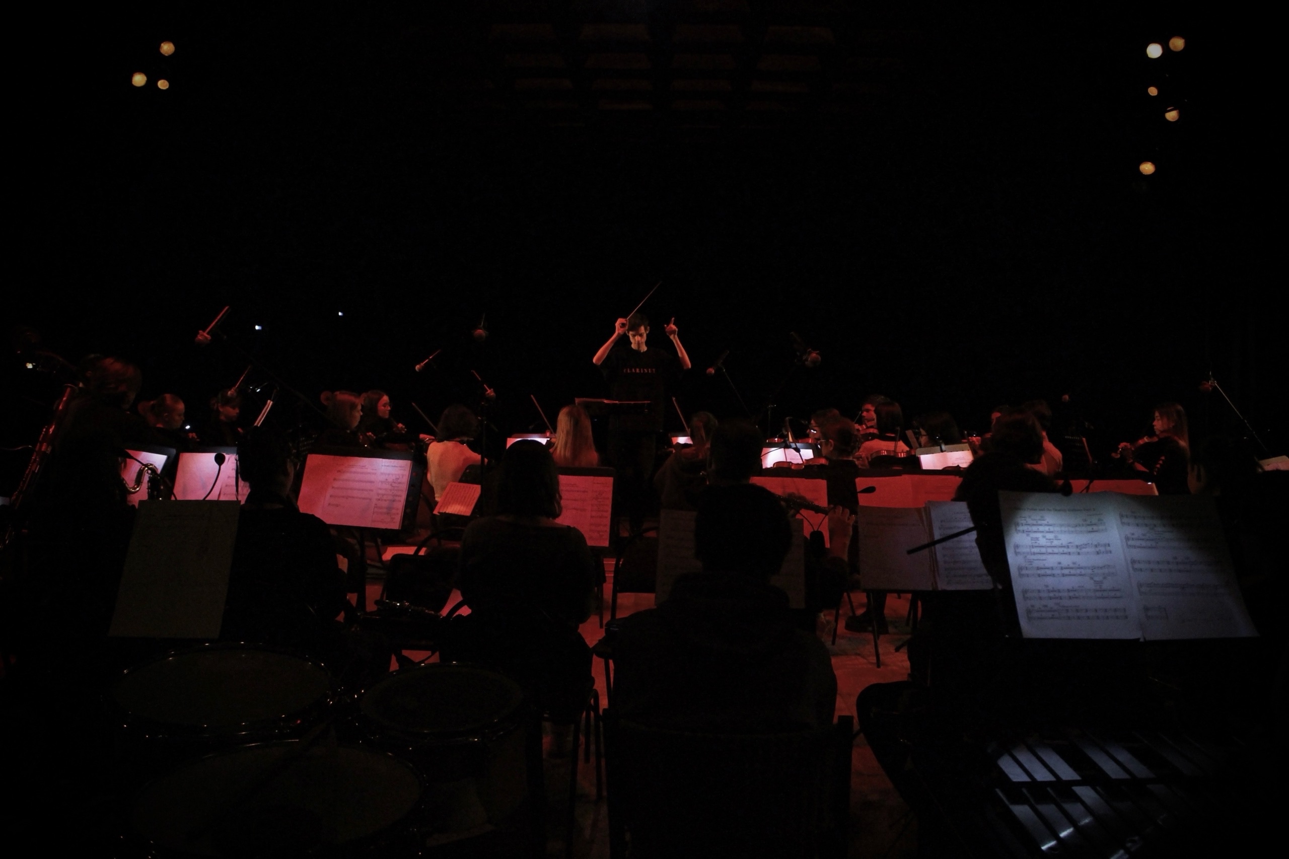 Репетиция Lumiere Symphony (2024)